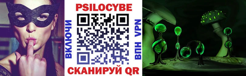 Псилоцибиновые грибы мицелий  Кудрово 